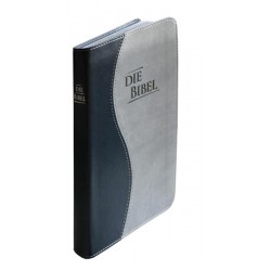 Taschenbibel, kleinere Ausgabe, PU-Einband, blau/silbergrau, Sil