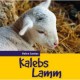 Kalebs Lamm (2 Audio-CDs)