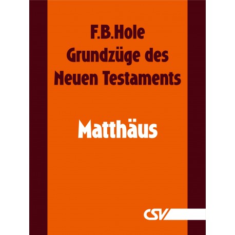 Grundzüge des Neuen Testaments - Matthäus (E-Book)