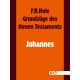 Grundzüge des Neuen Testaments - Johannes (E-Book)