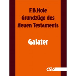 Grundzüge des Neuen Testaments - Galater (E-Book)