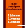 Grundzüge des Neuen Testaments - 1., 2. & 3. Johannes (E-Book)