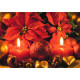 Faltkarte Gesegnete Feiertage - Weihnachtsstern und Kerzen