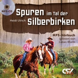 Spuren im Tal der Silberbirken  (MP3-Hörbuch)