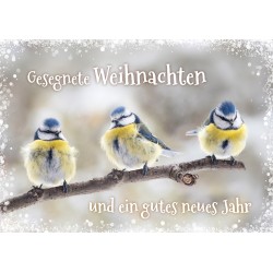 Postkarte zu Weihnachten/Neu Jahr - Drei Meisen