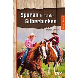 Spuren im Tal der Silberbirken - Band 3 (E-Book)