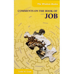 Comments on the Book of Job (Englisch)