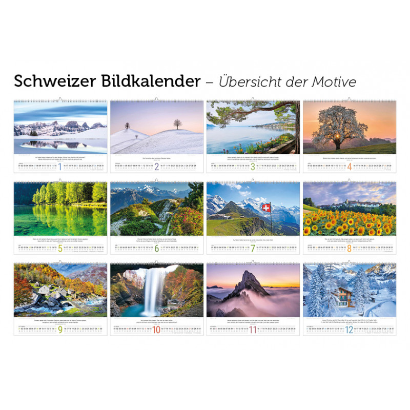 Calendrier BirdLife 2024  BirdLife Schweiz/Suisse/Svizzera