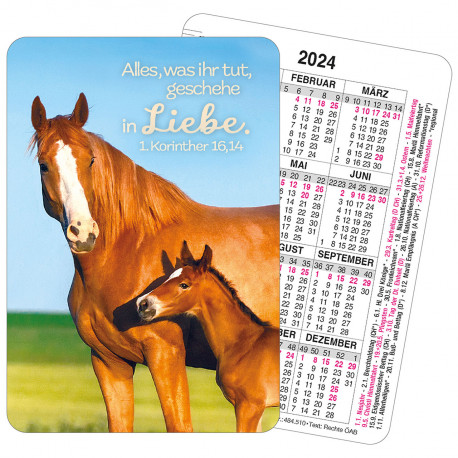 Spielkartenkalender: Für Kinder (Pferde)