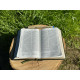 Pocketbibel, Leder Unique Olive grün, Goldschnitt