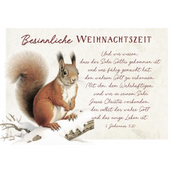 Postkarte zu Weihnachten - Eichhörnchen