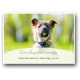 Postkarte - Hund