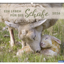 Ein Leben für die Schafe 2026 - Wandkalender