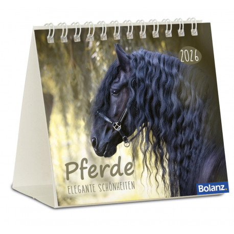 Pferde - Minikalender 2026