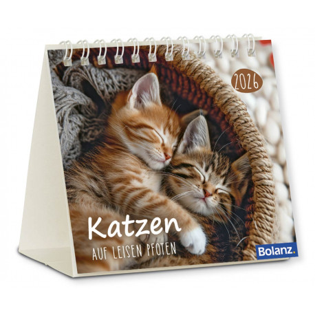 Katzen - Minikalender 2026