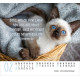 Katzen - Minikalender 2026