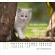 Katzen - Minikalender 2026