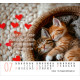 Katzen - Minikalender 2026