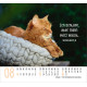 Katzen - Minikalender 2026