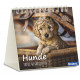 Hunde - Minikalender 2026