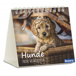 Hunde - Minikalender 2026