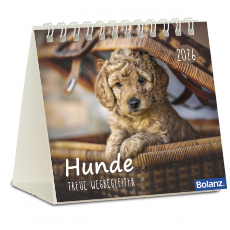 Hunde - Minikalender 2026