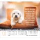 Hunde - Minikalender 2026