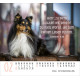 Hunde - Minikalender 2026
