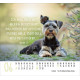 Hunde - Minikalender 2026