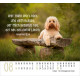 Hunde - Minikalender 2026