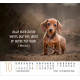 Hunde - Minikalender 2026