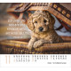 Hunde - Minikalender 2026