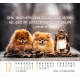 Hunde - Minikalender 2026