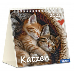 Katzen - Tischkalender 2026