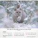 Katzen 2026