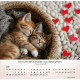 Katzen 2026