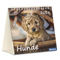 Hunde 2026