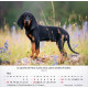 Hunde 2026