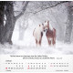 Pferde - Tischkalender 2026