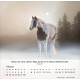 Pferde - Tischkalender 2026