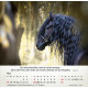 Pferde - Tischkalender 2026
