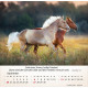 Pferde - Tischkalender 2026