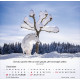 Pferde - Tischkalender 2026