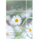 Faltkarte Trauer - Gänseblümchen