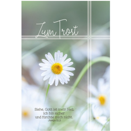 Faltkarte Trauer - Gänseblümchen