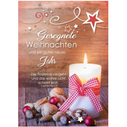 Faltkarte Weihnachten/ Neujahr - Nüsse
