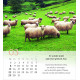 Psalm 23 Tischkalender