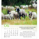 Psalm 23 Tischkalender