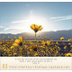 Licht Impressionen 2026 Wandkalender