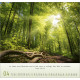 Licht Impressionen 2026 Wandkalender